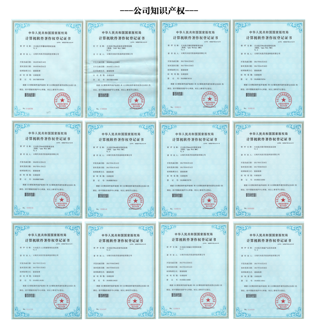 公司知識產(chǎn)權(quán)