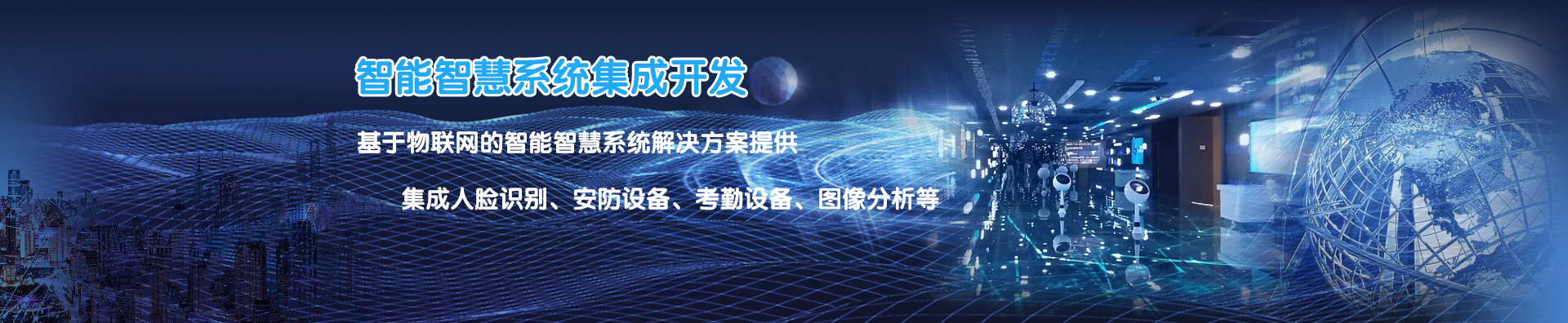 智能智慧系統(tǒng)集成開(kāi)發(fā)